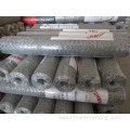 High Quality Stainless Steel Chicken Wire Mesh